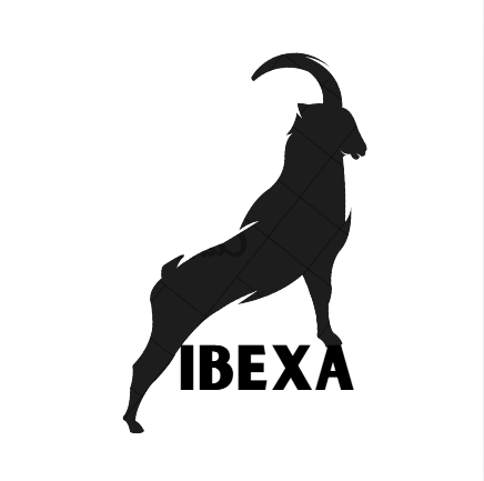 ibexa new logo ss